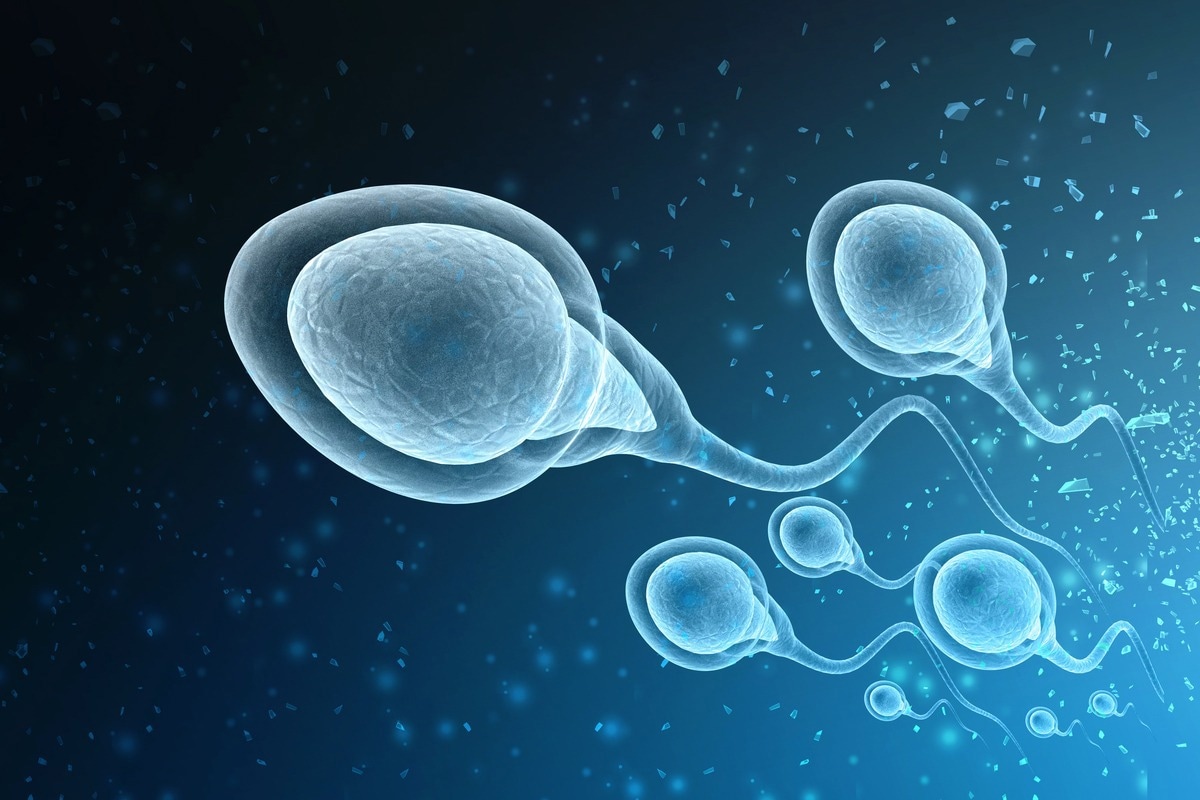 Study: Can we cryopreserve the sperm of patients with COVID-19 during the pandemic?.  Image Credit: WHITE MARKERS / Shutterstock.com