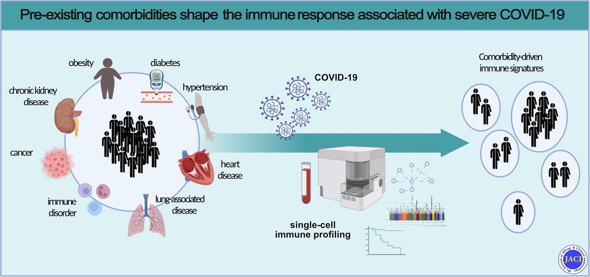 Pre-existing comorbidities shape the immune response associated with severe COVID-19