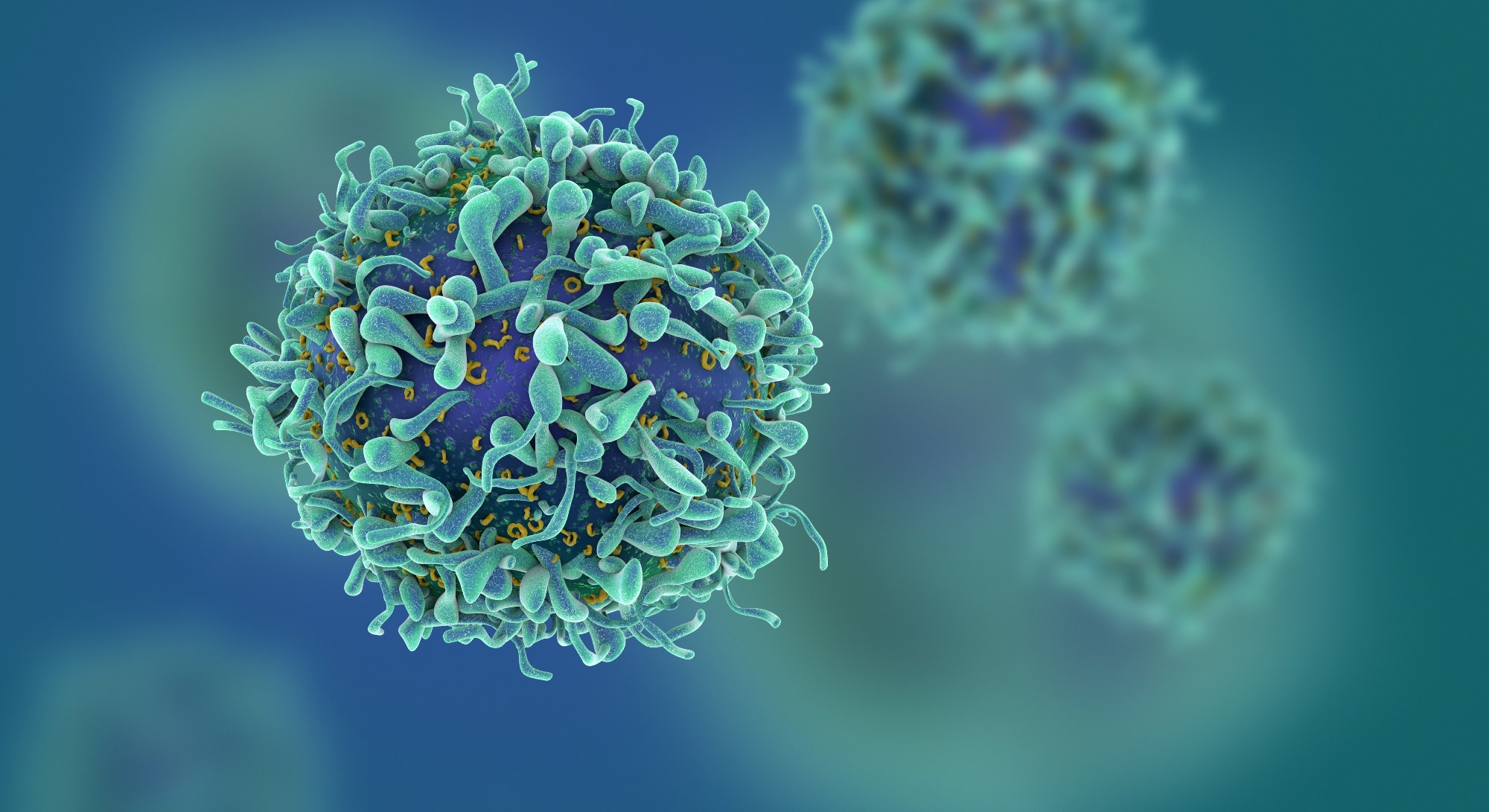 Study: Clonal diversity determines persistence of SARS-CoV-2 epitope-specific T cell response. Image Credit: fusebulb / Shutterstock