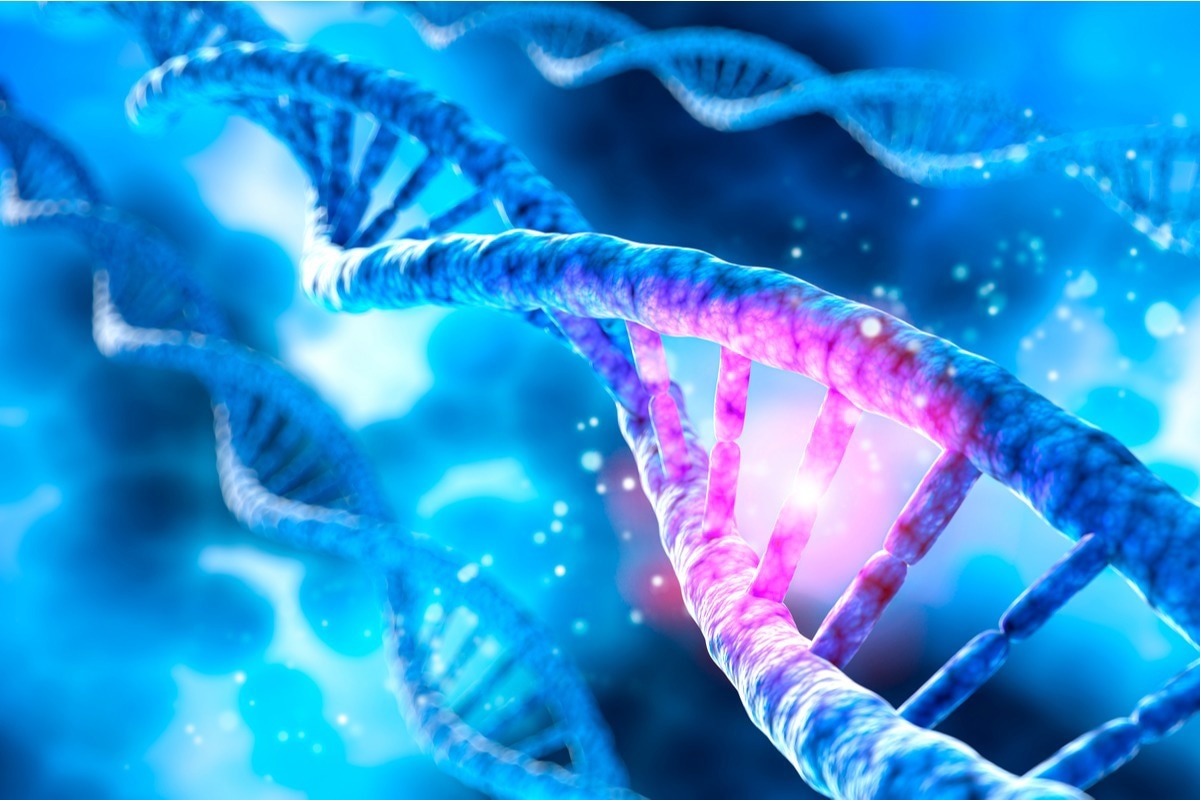 Study: Genome-wide mapping of somatic mutation rates uncovers drivers of cancer. Image Credit: peterschreiber.media/Shutterstock