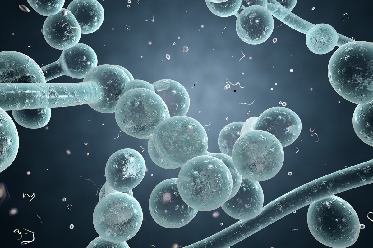 Study: Increased Yeast Infection Deaths During COVID-19 Pandemic - National Vital Statistics System, US, January 2020-December 2021. Credit: Kateryna Kon/Shutterstock
