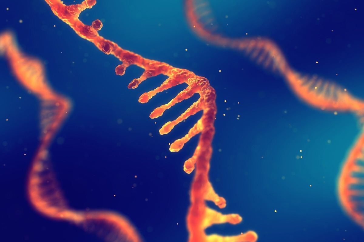 Study: Hidden codes in mRNA: Control of gene expression by m6A. Image Credit: nobeastsofierce/Shutterstock