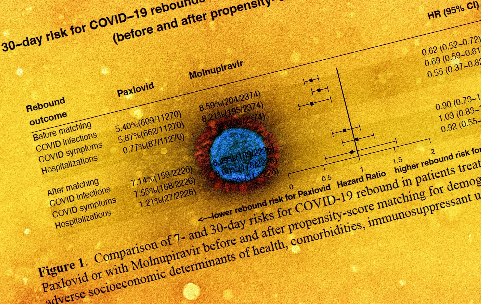 Study: COVID-19 rebound after paxlovid and molnupiravir in January-June 2022. Image credit: NIAID
