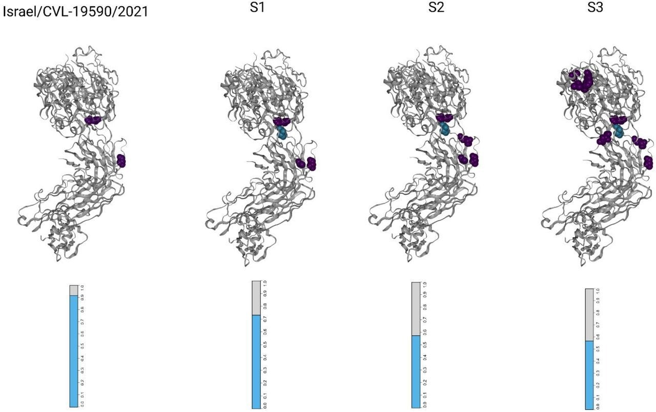 Visualizations of the SARS-CoV-2 receptor binding domains (RBDs), marked according to altered amino acid residues found in each sample. Each mutated residue is colored according to the magnitude of the largest-effect escape mutation at each site, as measured for the REGN10933+REGN10987 monoclonal antibody cocktail (see methods). The bar-plots at the bottom represent the estimated fraction antibodies that were either bound (cyan) or escaped (gray) from neutralization by polyclonal antibodies for each sample (see methods).