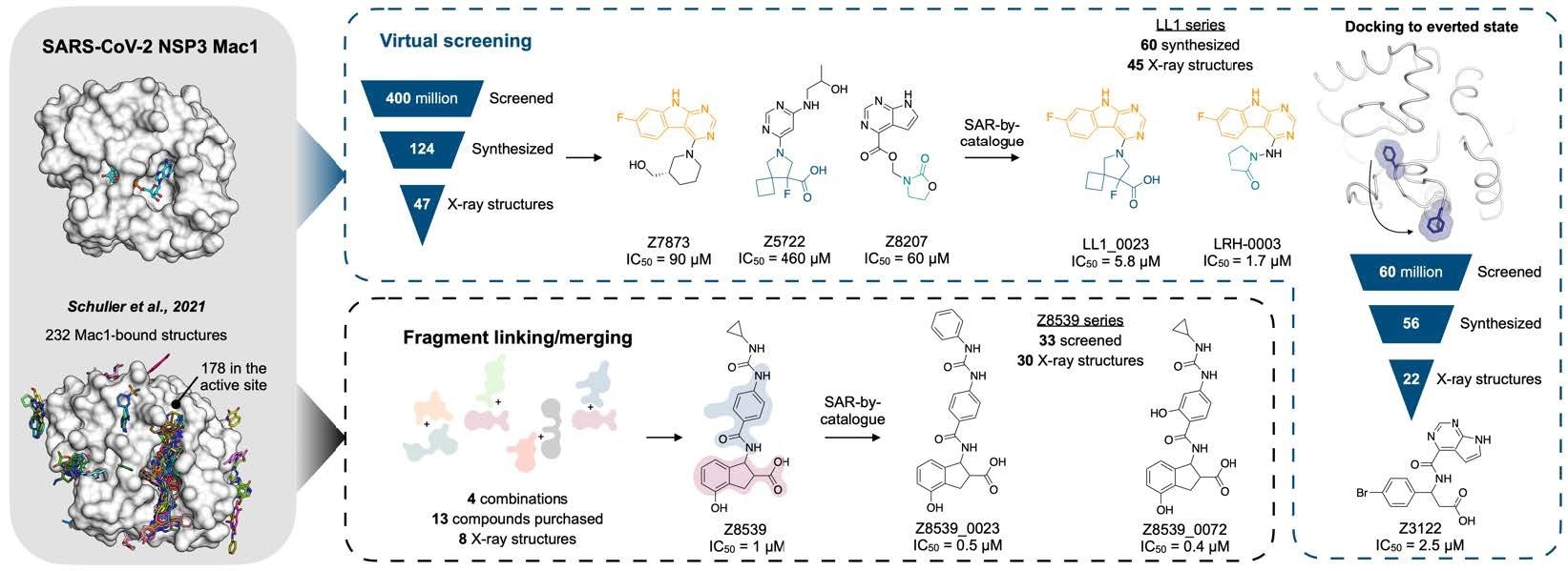 ​​​​​​​Overview of the structure-based strategies used to discover ligands that bind to the NSP3 macrodomain of SARS-CoV-2 (Mac1).