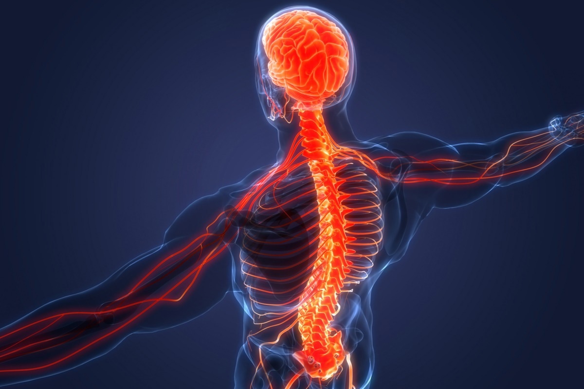 Study: Nervous system manifestations related to COVID-19 and their possible mechanisms. Image Credit: Magic mine/Shutterstock