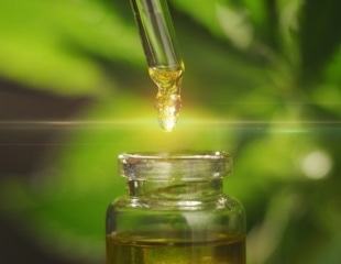 The Future of CBD research, marketing, and regulation