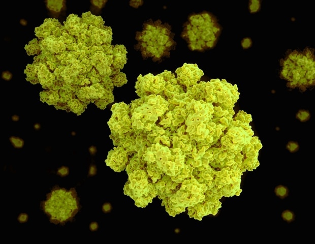 TRIM7抑制Coxsackievievirus和Norovirus感染