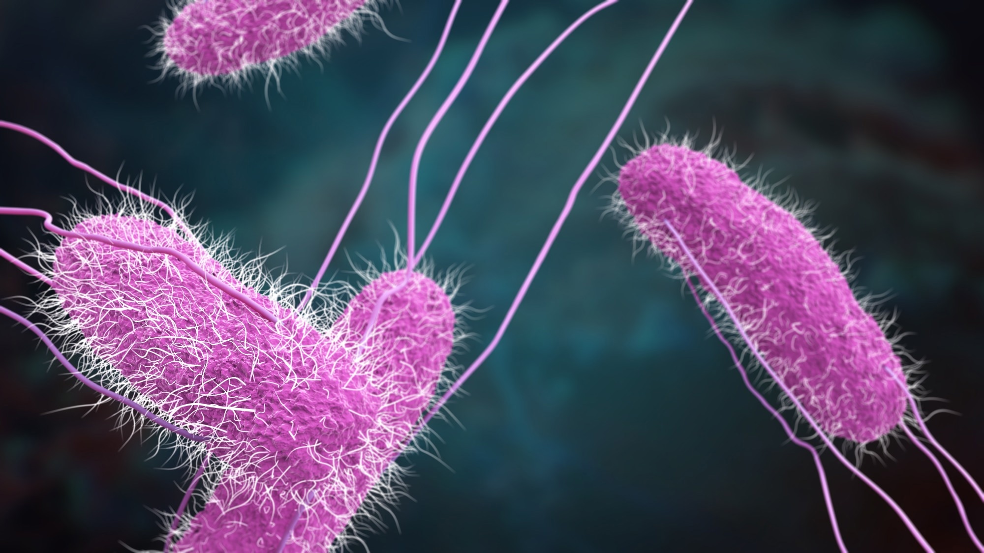 Study: 3D illustration of Salmonella Bacteria.  Image credit: urfin/Shutterstock