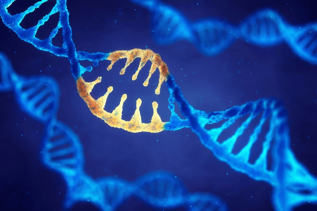 Study: A strong association between the VDR gene markers and SARS-CoV-2 variants. Image Credit: nobeastsofierce/Shutterstock