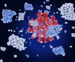 Scientists investigate impact of SARS-CoV-2 RBD mutations across variants
