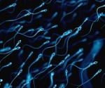Bacterial infections cause sperm dysfunction via their outer membrane vesicles