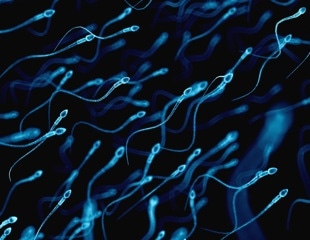 Bacterial infections cause sperm dysfunction via their outer membrane vesicles