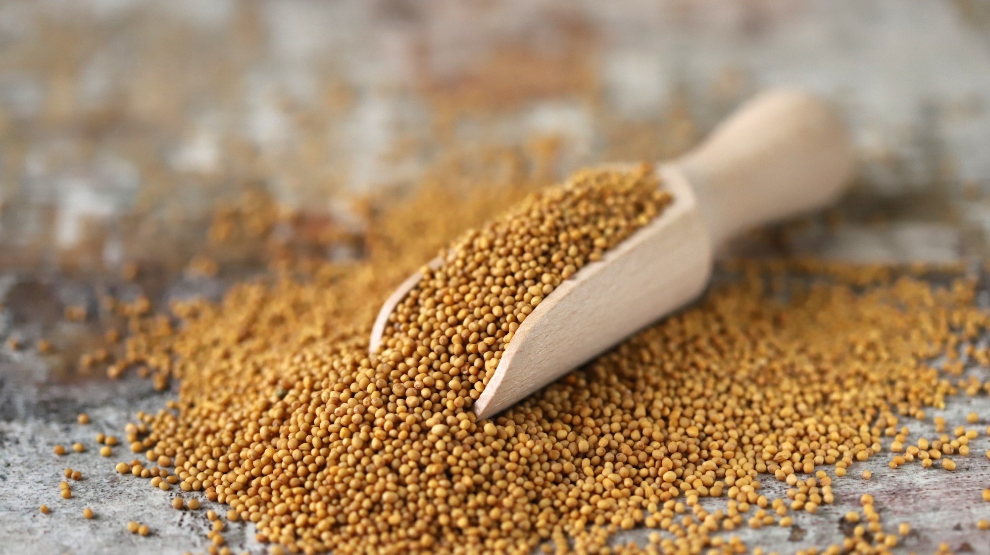 Mustard seeds.  Image Credit: Sunvic/Shutterstock