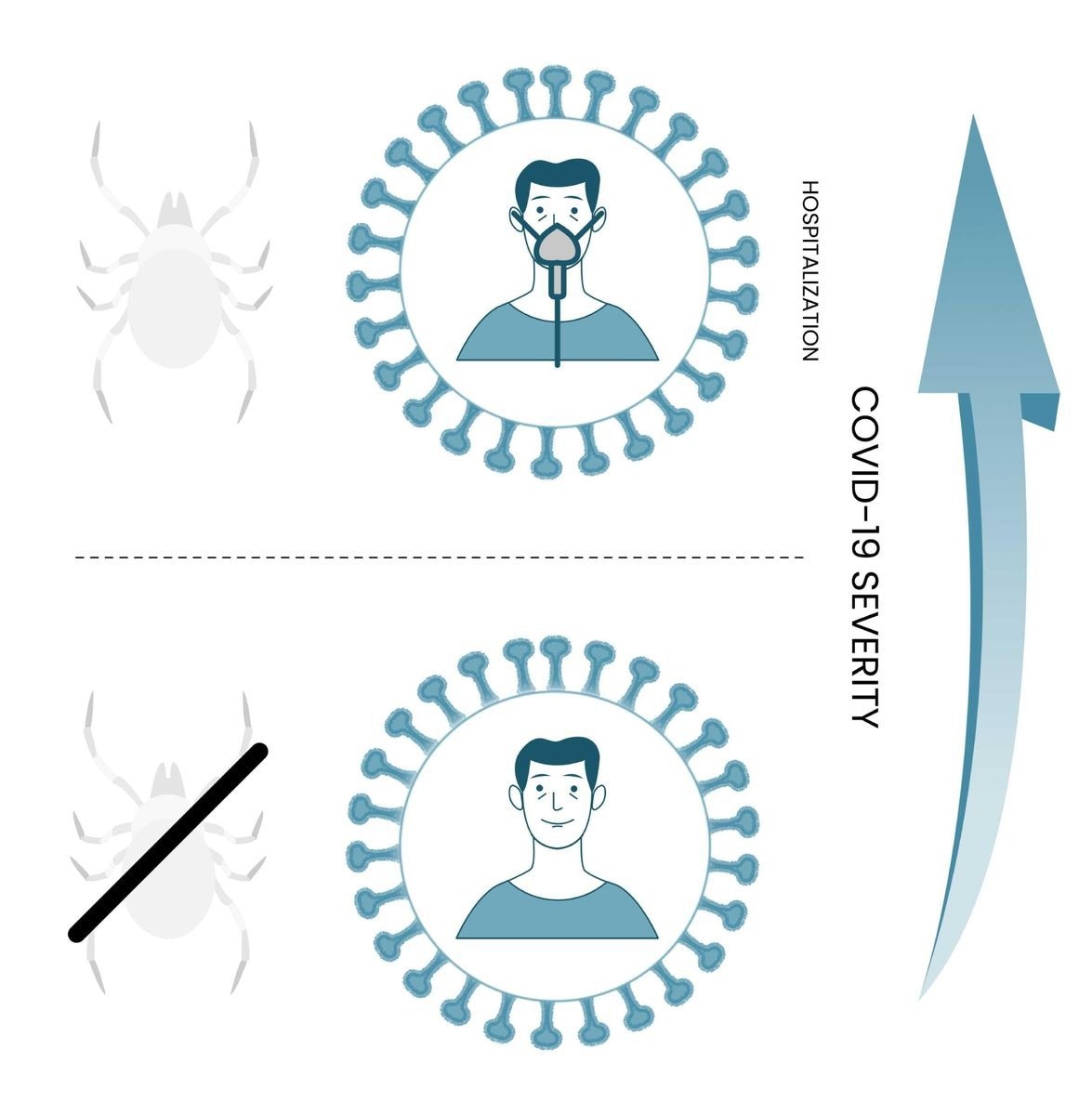 Risks in COVID-19 are linked to a history of tick bites and related infections.