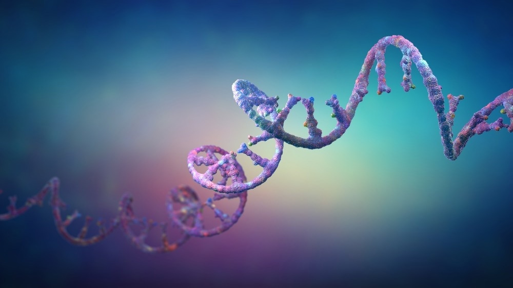Study: Circular RNA Vaccine, A Novel mRNA Vaccine Design Strategy For SARS-Cov-2 And Variants. Image Credit: Christoph Burgstedt / Shutterstock.com