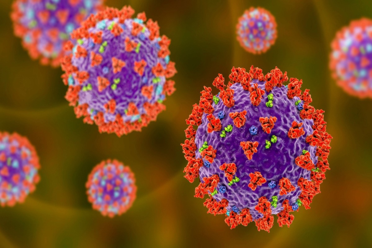 Study: SARS-CoV-2 spike and nucleocapsid proteins fail to activate human dendritic cells or γδ T cells. Image Credit: Kateryna Kon/Shutterstock