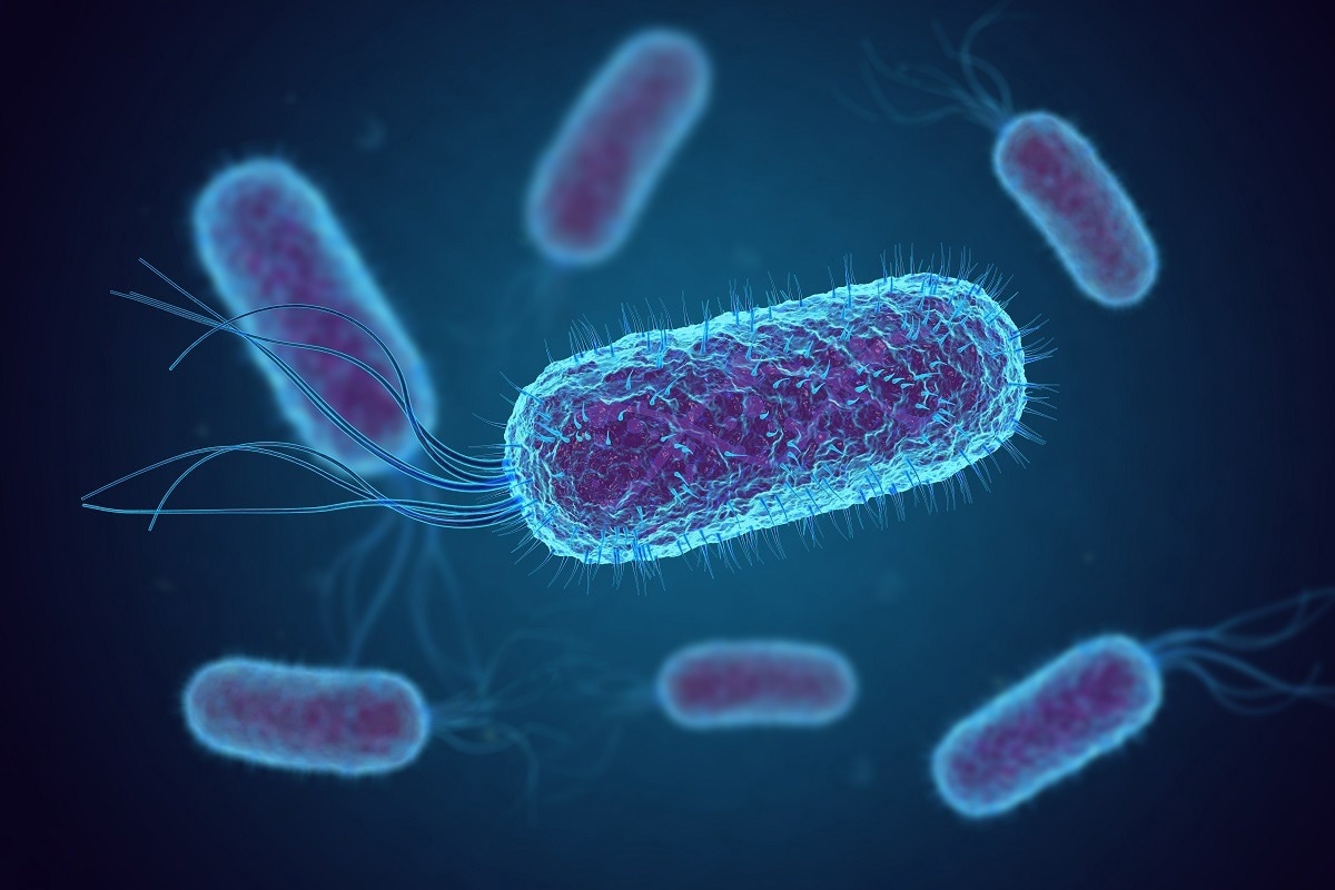 Study: Escherichia coli Can Eat DNA as an Excellent Nitrogen Source to Grow Quickly. Image Credit: fusebulb/Shutterstock