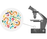 Identifying a core human microbiome
