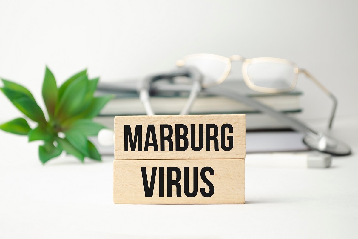 مطالعه: غنا اولین شیوع بیماری ویروسی ماربورگ را اعلام کرد.  اعتبار تصویر: ANDREI ASKIRKA/Shutterstock