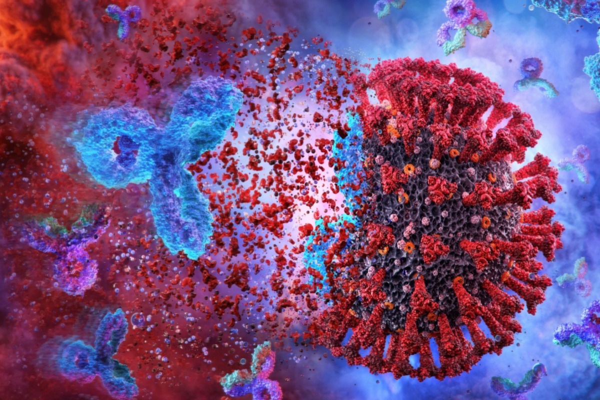 Study: High titre neutralizing antibodies in response to SARS-CoV-2 infection require RBD-specific CD4 T cells that include proliferative memory cells. Image Credit: Corona Borealis Studio/Shutterstock