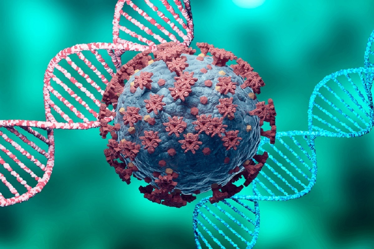 Study: Safety and biodistribution of Nanoligomers™ targeting SARS-CoV-2 genome for treatment of COVID-19. Image Credit: Adao/Shutterstock
