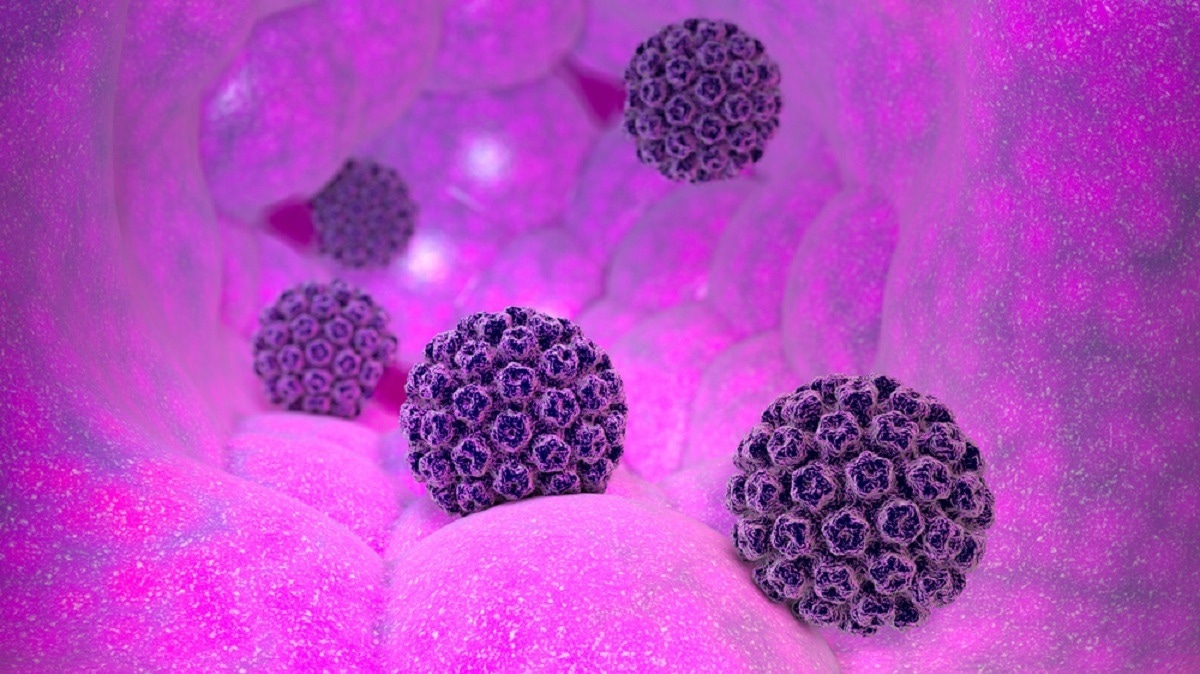Study: Role of Immunity and Vaginal Microbiome in Clearance and Persistence of Human Papillomavirus Infection. Image Credit: Naeblys/Shutterstock