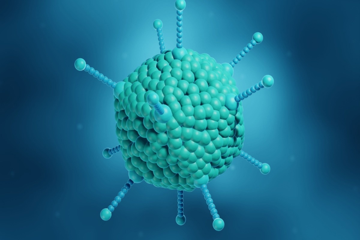 مطالعه: عفونت ویروس 2 مرتبط با آدنو در کودکان مبتلا به هپاتیت غیر AE.  اعتبار تصویر: ART-ur/Shutterstock