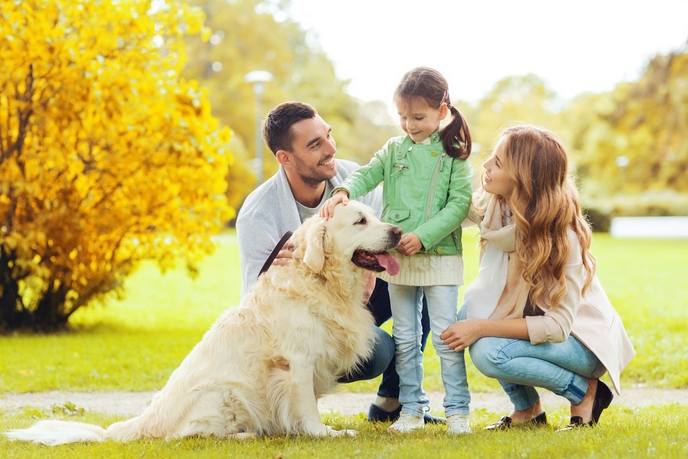 Study: Parent and Child Mental Health During COVID-19 In Australia: The Role of Pet Attachment. Image Credit: Ground Picture / Shutterstock.com