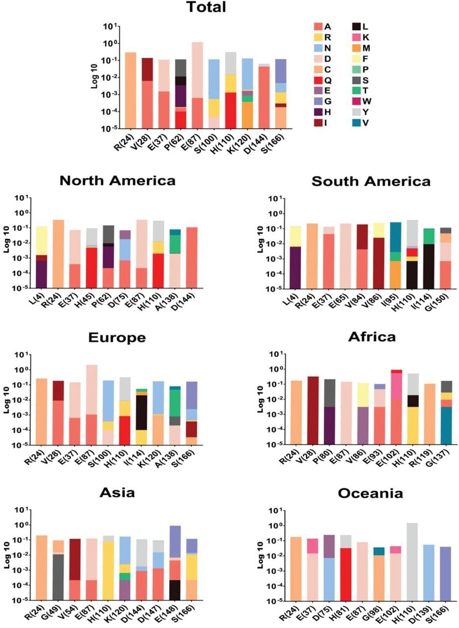 NSP1 top ten mutations with the highest frequency globally and geographic areas, including North America, South America, Europe, Asia, Oceania, and Africa. The position of changed amino acids and substituted ones is shown differently based on the logarithm 10 of data frequency in the percentage of substituted AAs. The mutation frequency was evaluated for each of them by normalizing the number of genomes carrying a given mutation in an intended geographic area.