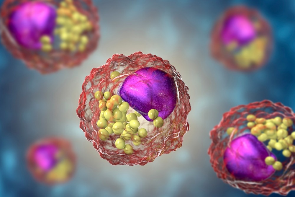 Study: In vitro review of nanoparticles attacking macrophages: Interaction and cell death. Image Credit: Kateryna Kon / Shutterstock.com