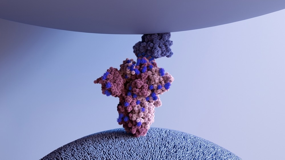 Study: Engineering ACE2 decoy receptors to combat viral escapability. Image Credit: Design_Cells / Shutterstock.com
