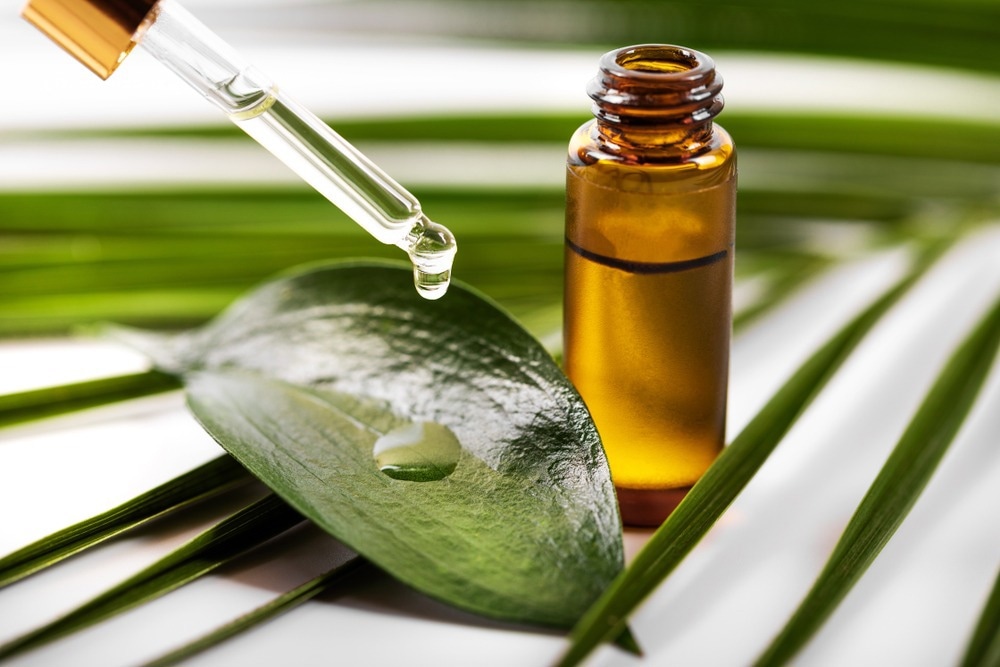 Study: The Biological Activity of Tea Tree Oil and Hemp Seed Oil. Image Credit: ronstik / Shutterstock.com
