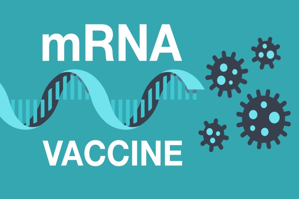 Study: mRNA vaccines induce rapid antibody responses in mice. Image Credit: Dmitry Kovalchuk/Shutterstock