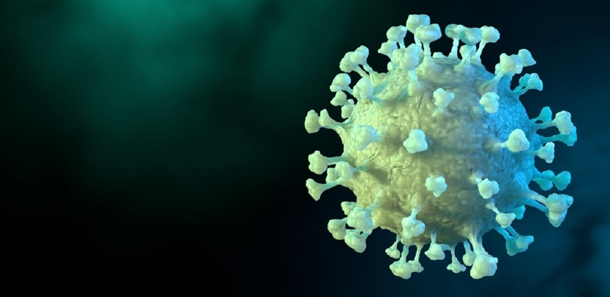 Study: Peimine inhibits variants of SARS-CoV-2 cell entry via blocking the interaction between viral spike protein and ACE2. Image Credit: CROCOTHERY/Shutterstock