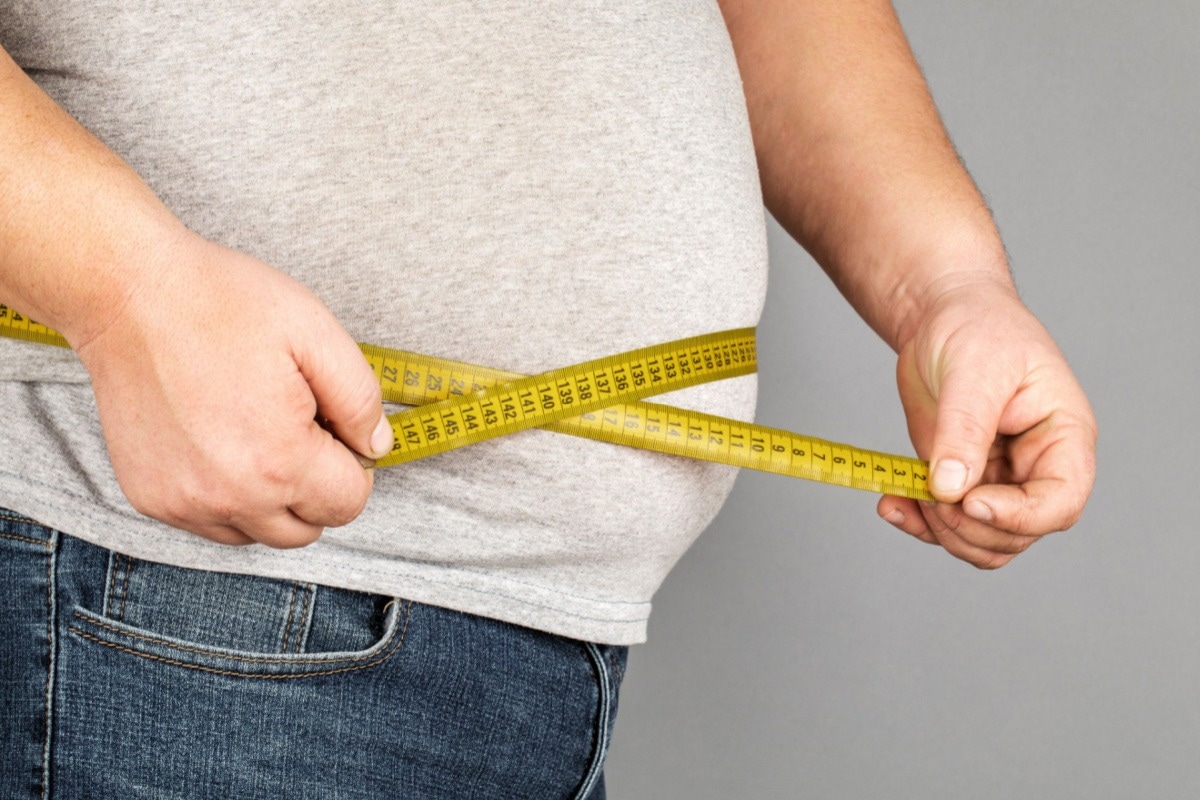 Study: Competing paradigms of obesity pathogenesis: energy balance versus carbohydrate-insulin models. Image Credit: Fuss Sergey/Shutterstock