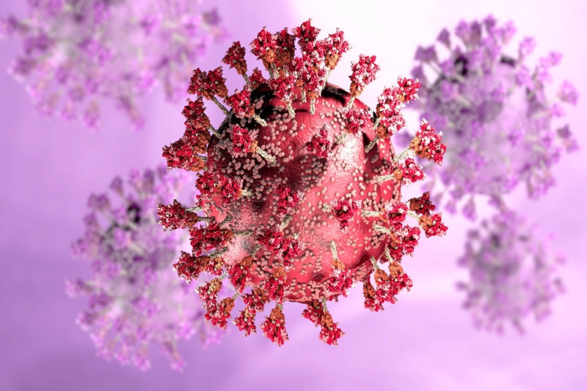 Study: COVID-19 vaccination and BA.1 breakthrough infection induce neutralising antibodies which are less efficient against BA.4 and BA.5 Omicron variants, Israel, March to June 2022. Image Credit: Naeblys/Shutterstock