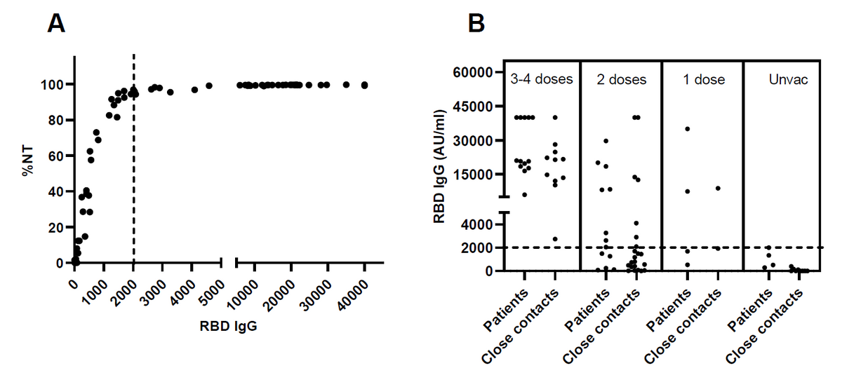 The antibody response to RBD IgG (Figure 2A) demonstrated the correlation between the levels of antibody and neutralization capacity to the alpha variant of SAR-CoV-2 virus (R = 0.5571, P < 0.0001). The levels of RBD IgG in COVID-19 patients and closed contacts according to the number of vaccinations are presented in Figure 2B. NT = neutralizing antibody, RBD IgG = SARS-CoV-2 receptor binding domain immunoglobulin G, AU/ml = arbitrary units per milliliter.