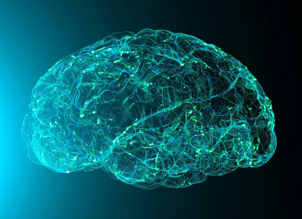 Study: Horizons in Human Aging Neuroscience: From Normal Neural Aging to Mental (Fr)Agility. Image Credit: Naeblys / Shutterstock.com