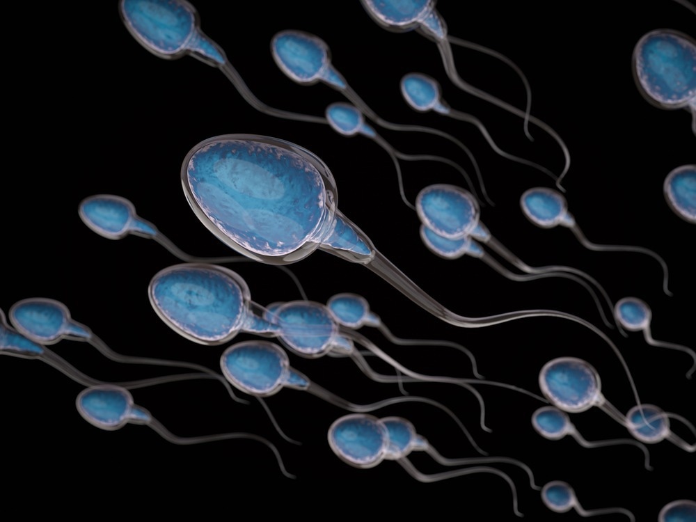 Étude : Évaluation à long terme des paramètres de sperme après la vaccination COVID-19 d'ARNm.  Crédit image : Photo de Phonlamai/Shutterstock.com