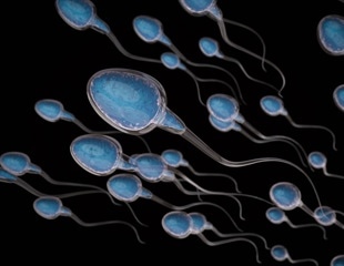 Sperm not affected nine months after COVID-19 mRNA vaccination