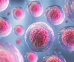 Scientists explore ex utero generation of post-gastrulation synthetic embryos