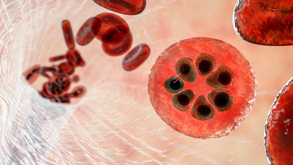 Study: Low-Dose Subcutaneous or Intravenous Monoclonal Antibody to Prevent Malaria. Image Credit: Kateryna Kon / Shutterstock.com