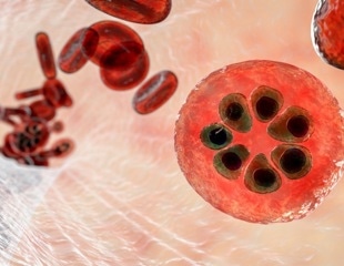 Next-generation monoclonal antibody prevents malaria