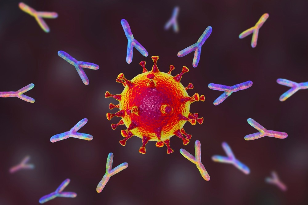 Study: Rational identification of potent and broad sarbecovirus-neutralizing antibody cocktails from SARS convalescents. Image Credit: Kateryna Kon / Shutterstock.com
