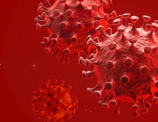 Coronavirus biology: viral RNA synthesis, origin, and vaccines