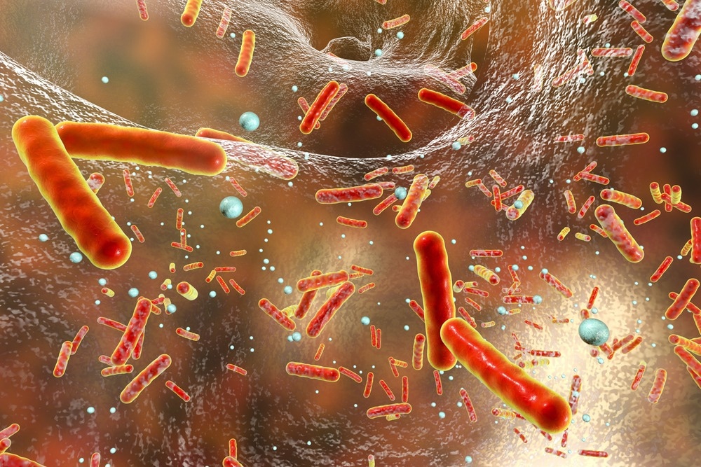 Étude : Les réponses à la pandémie de COVID-19 peuvent affecter la propagation des bactéries résistantes aux antibiotiques : une étude de modélisation.  Crédit d'image : Kateryna Kon/Shutterstock