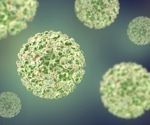 Study warns of a potential Sindbis virus epidemic in 2022