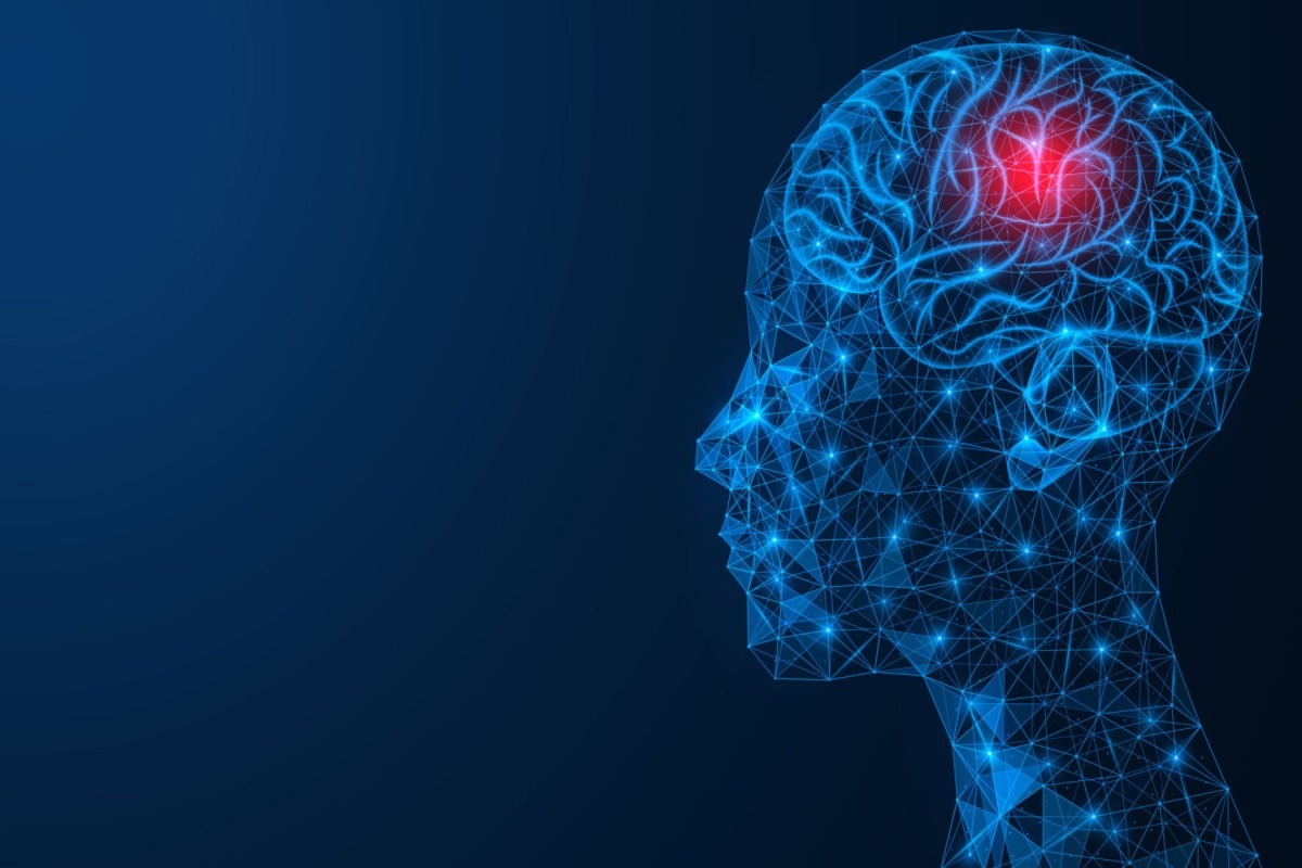 Study: A neuro-metabolic account of why daylong cognitive work alters the control of economic decisions. Image Credit: Ilya Lukichev / Shutterstock.com