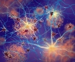 Understanding how microglia change their states to adapt to different areas of the brain